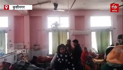 कुशीनगर मेडिकल कॉलेज में टूटी खिड़कियों से आतंक मचा रहे बंदर, ठंड बढ़ा रही मरीजों की परेशानी