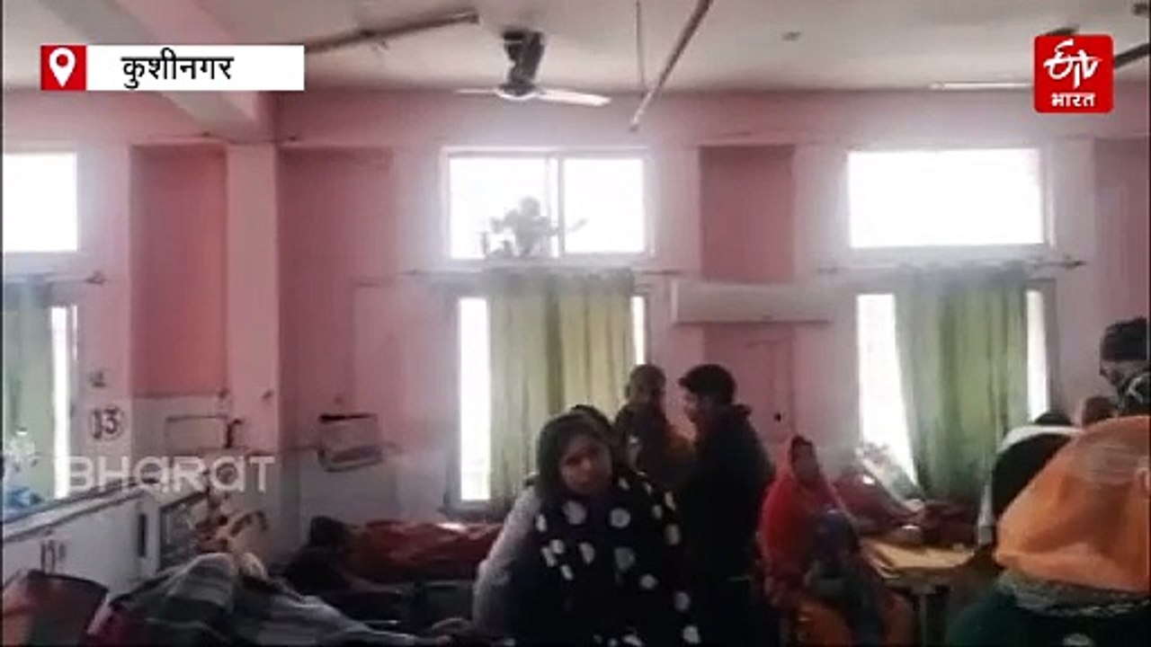 कुशीनगर मेडिकल कॉलेज में टूटी खिड़कियों से आतंक मचा रहे बंदर, ठंड बढ़ा रही मरीजों की परेशानी