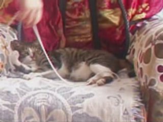 Sunny playing with the string