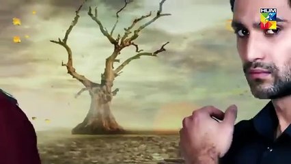 Yakeen Ka Safar Episode #19 HUM TV Drama