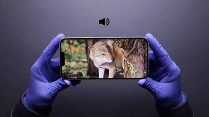 iPhone 14 Plus Yellow Unboxing and Camera Test! -  ASMR