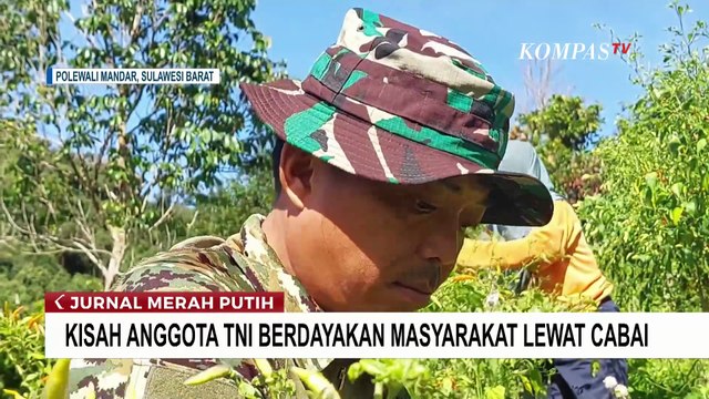 Kisah Anggota TNI di Polewali Mandar Berdayakan Masyarakat Lewat Cabai