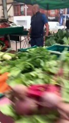 Epic Fail Compilation: Pranks That Went Hilariously Wrong!
