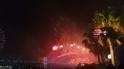 Sydney fireworks light up the sky for a grand New Year celebration