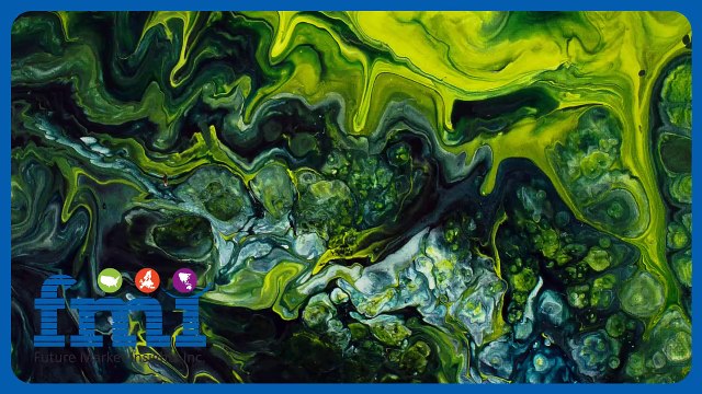 Why Algae Oil is the Future of Nutrition & Biofuels – Market Insights 2024