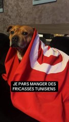 Je pars manger les fricassées tunisiens