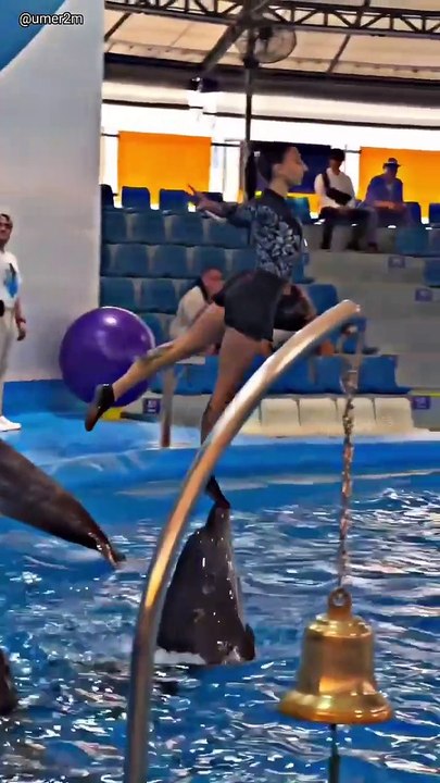 Jab Dolphin trick Me Hui Gadbad  ( 🎥_@umer2m )