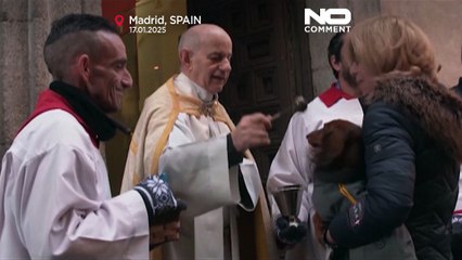 Madrid'de evcil hayvan sahipleri, hayvanlarını yıllık kutsama için Saint Anthony Kilisesi'ne getiriyor
