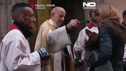 En Espagne, les animaux se font bénir lors de la Saint Antoine