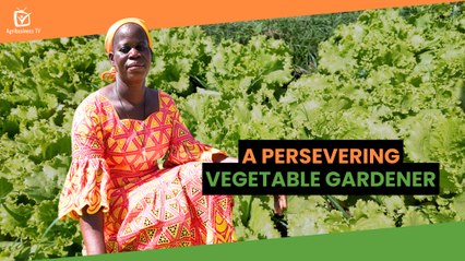 Burkina Faso: A persevering vegetable gardener