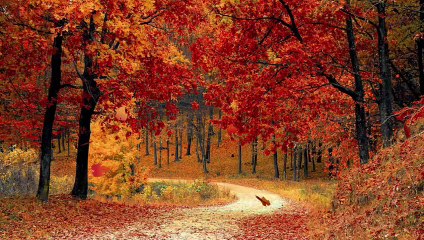 1 Hour of Relaxing Calm Music – Extended Playlist for Deep Relaxation
