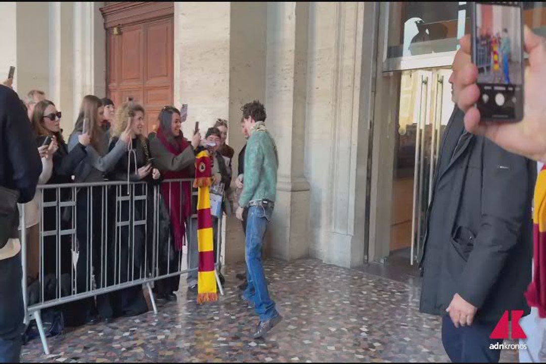 Timothée Chalamet a Roma per presentare biopic su Bob Dylan - Video