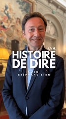L'interview exclusive de Stéphane Bern dans Histoire de Dire