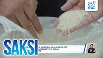 Rekomendasyong magdeklara ang DA ng food security emergency sa bigas, suportado ni PBBM | Saksi