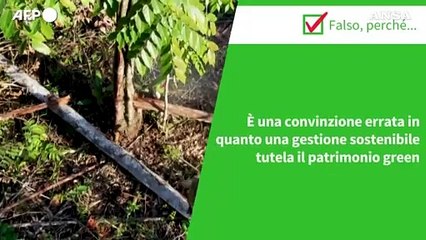 ANSA VERIFIED - E' vero che il taglio degli alberi fa male ai boschi?