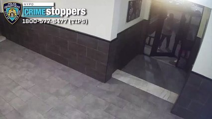 Robbers beat and shoot victims during Bronx home invasion