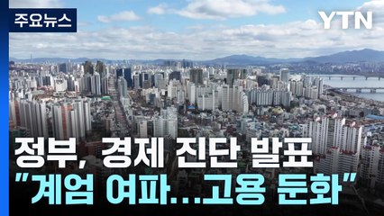 비상계엄 여파에...정부 "고용 둔화·경기 하방압력 증가" / YTN