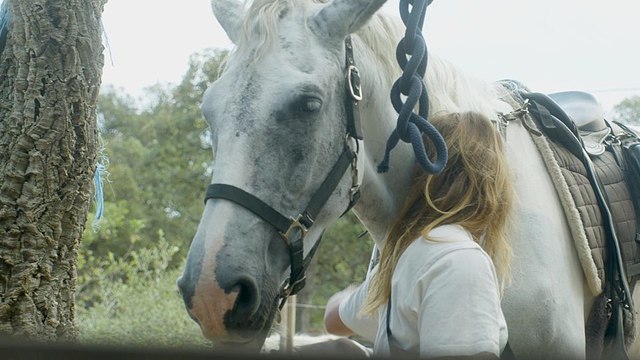 La voie des centaures Bande-annonce VF