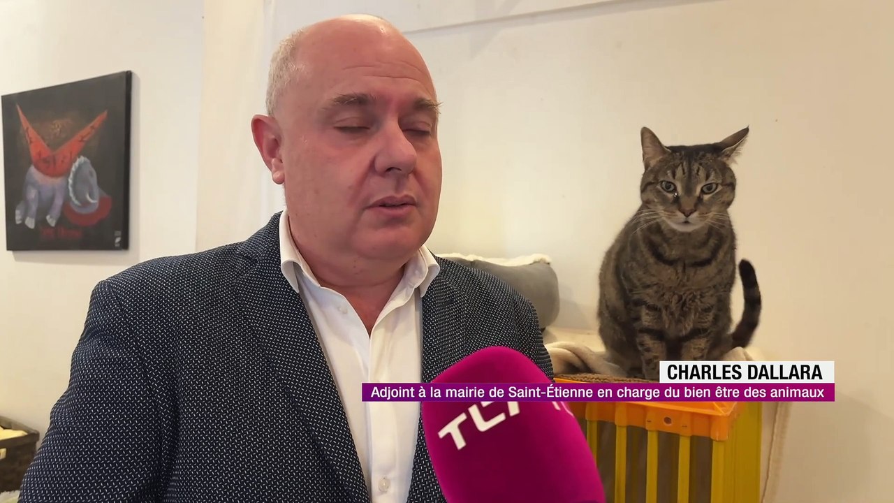 La maison des animaux lance un appel aux dons
