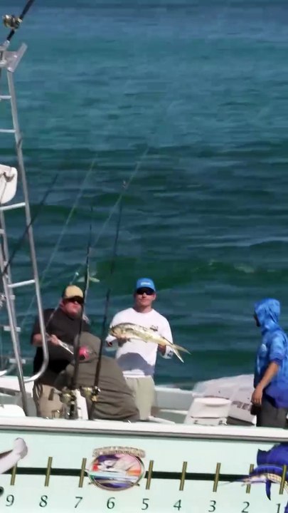 Spellbound Fishing Charters today at the Haulover Inlet #hauloverinlet #fishing #fishingcharters