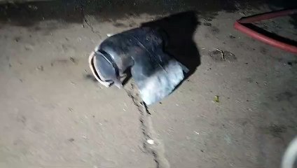 सिलेंडर में लगा आग, इलाके में फैली दहशत