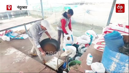 पारंपरिक शेतीला आधुनिक मत्स्यपालनाची जोड; आदिवासी तरुणाचा राष्ट्रपतींच्या हस्ते सन्मान