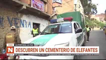 encuentran un cementerio de elefantes