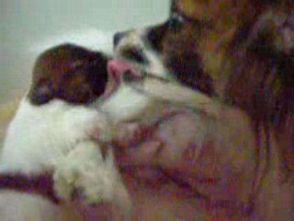 Bisous d'amour