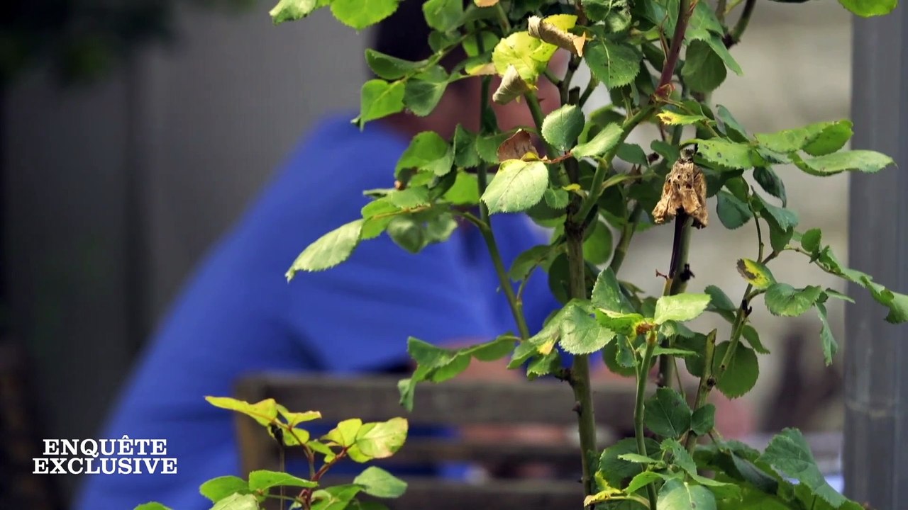 France-Chine, la guerre secrète