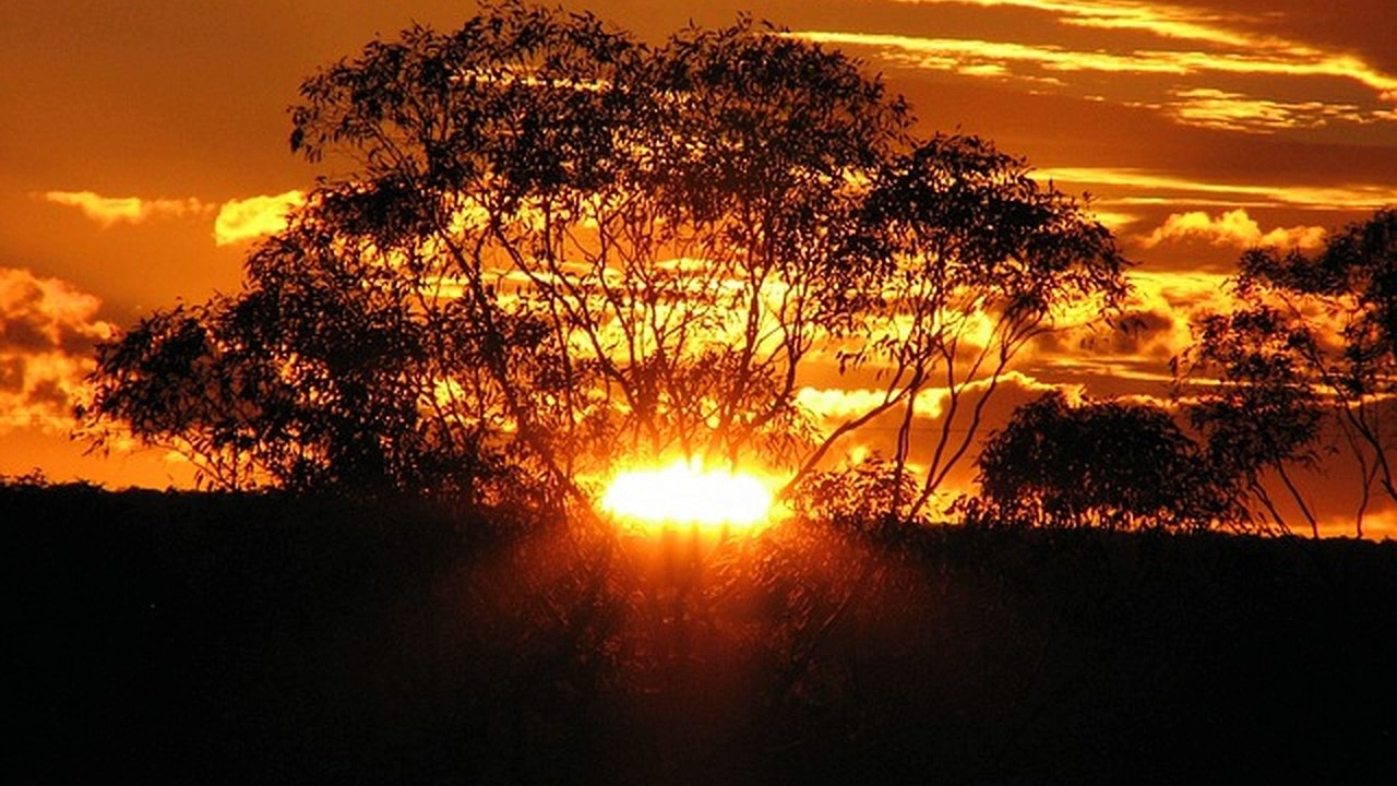 The Plan Of God Must Be Fulfilled