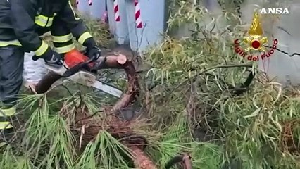 Maltempo in Sicilia, 315 interventi dei vigili del fuoco e raddoppio dei soccorsi