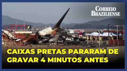 Investigação encontra penas de aves nos motores de avião que caiu na Coreia do Sul