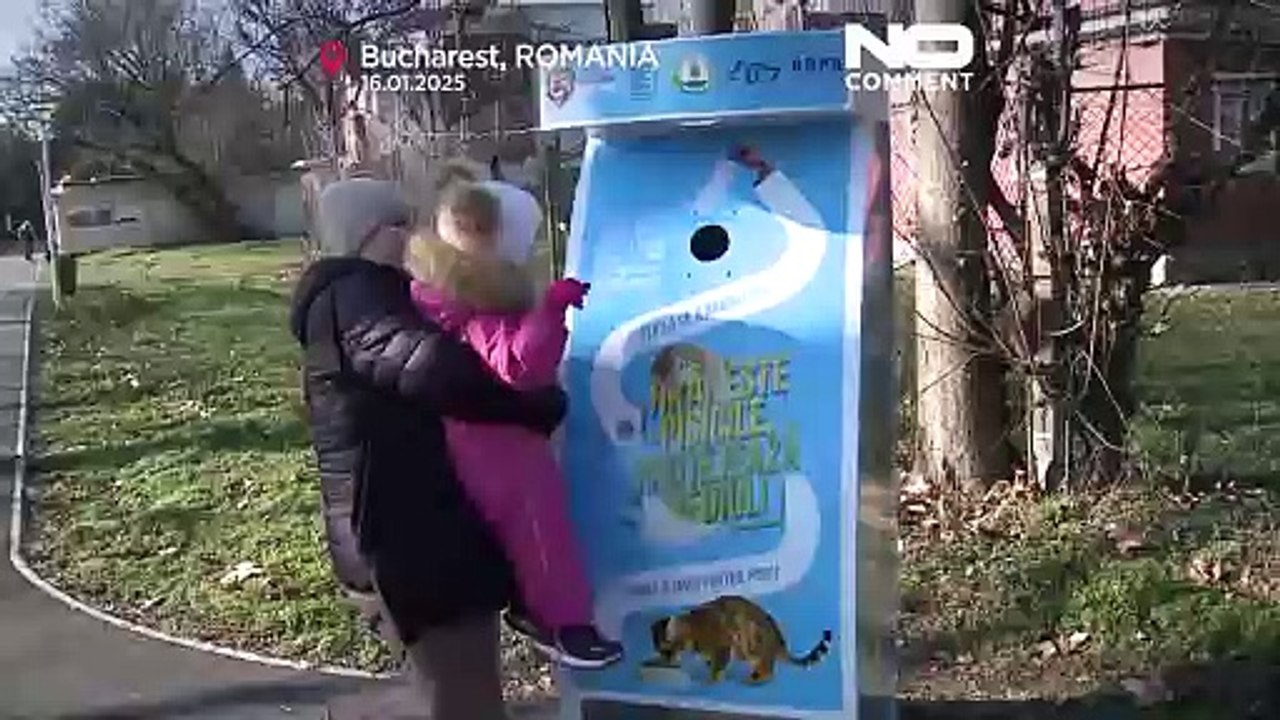 Neue Verkaufsautomaten in Bukarester Parks helfen heimatlosen Katzen und der Umwelt