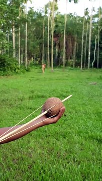 Bamboo Slingshots Amazing video of 2025