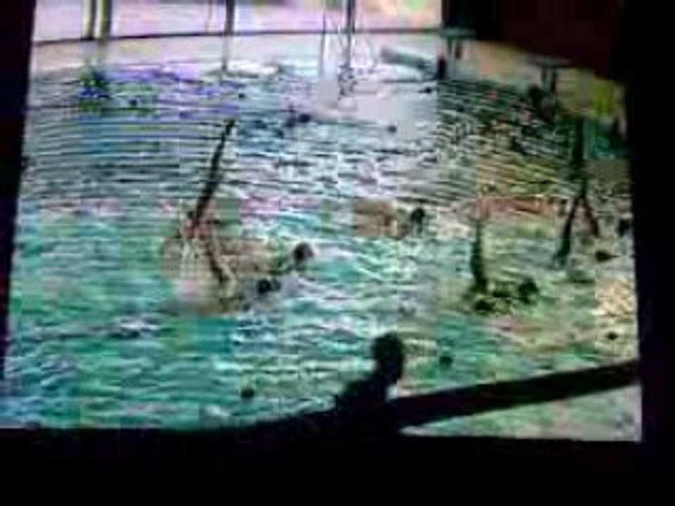 Entr. Mai08 Equipe Senior