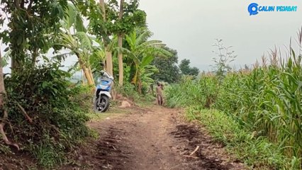 Best Funny Videos 🤣 - People Being Idiots _ 🤣 Try Not To Laugh -#16