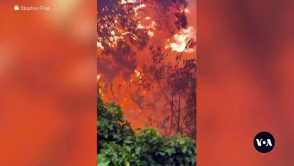 Family Stays Behind to Protect Home in L.A. Wildfires