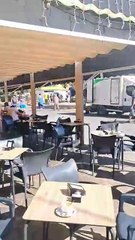 Vídeo de presencia de una plaga de cucarachas en Los Abrigos / TAMARA MARTÍN