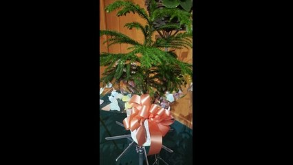 Flowers and Cards for Naomi Grace