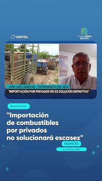 Importación de combustibles por privados no solucionará escasez
