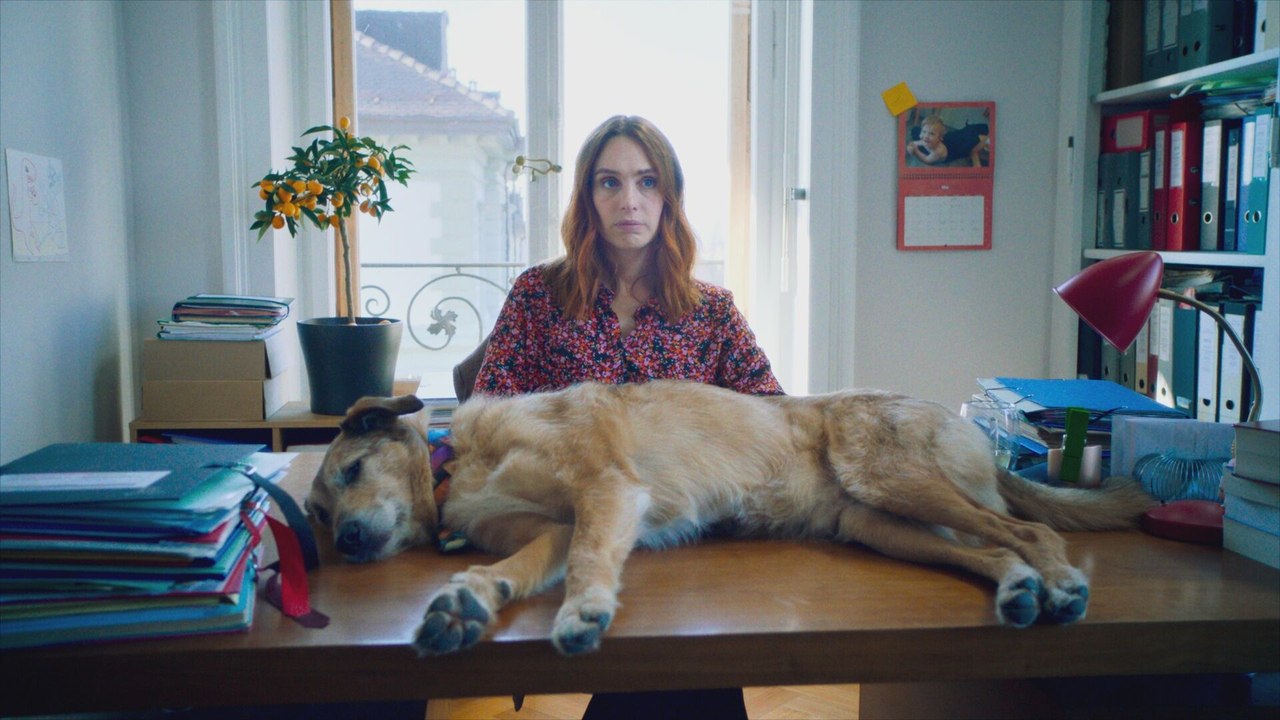 'El juicio del perro', sátira divertida inspira...