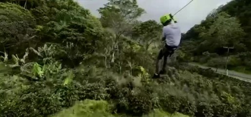 Boquete ofrece una nueva aventura: canopy sobre una finca cafetera