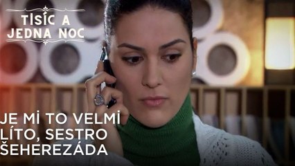 Je mi to velmi líto, sestro Šeherezáda| Tisíc a Jedna Noc Epizoda 43