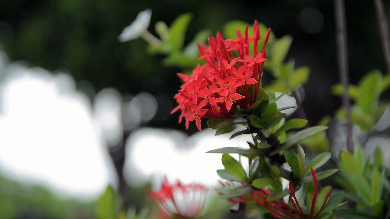 how to manifest your dreams practical steps malayalam