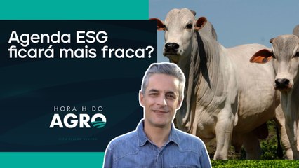 Bancos deixam alianças climáticas | HORA H DO AGRO