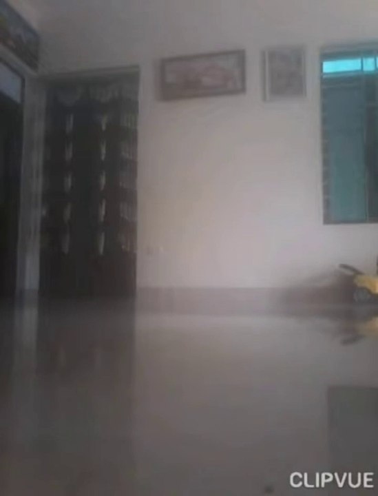 YouCut_20250116_131147369