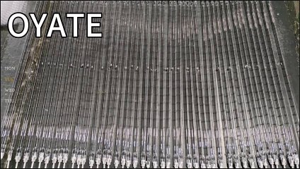 455mm 220v 1500w R7S coated industrial infrared heat lamp for PET blowing Machines