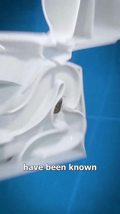 How Mice Get Into Your Toilet 🐭🚽 #science #sciencefacts #sciencefiction #foryoupagereels #fypviralシ #foryoupageシ #foryouシ #foryoupageシforyou