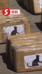 El Salvador seizes 4.3 tonnes of cocaine in January operation