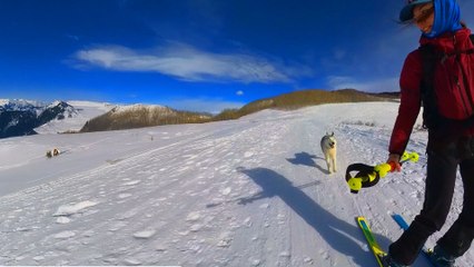 Woman Moves To The Mountains So Her Husky Could Ski